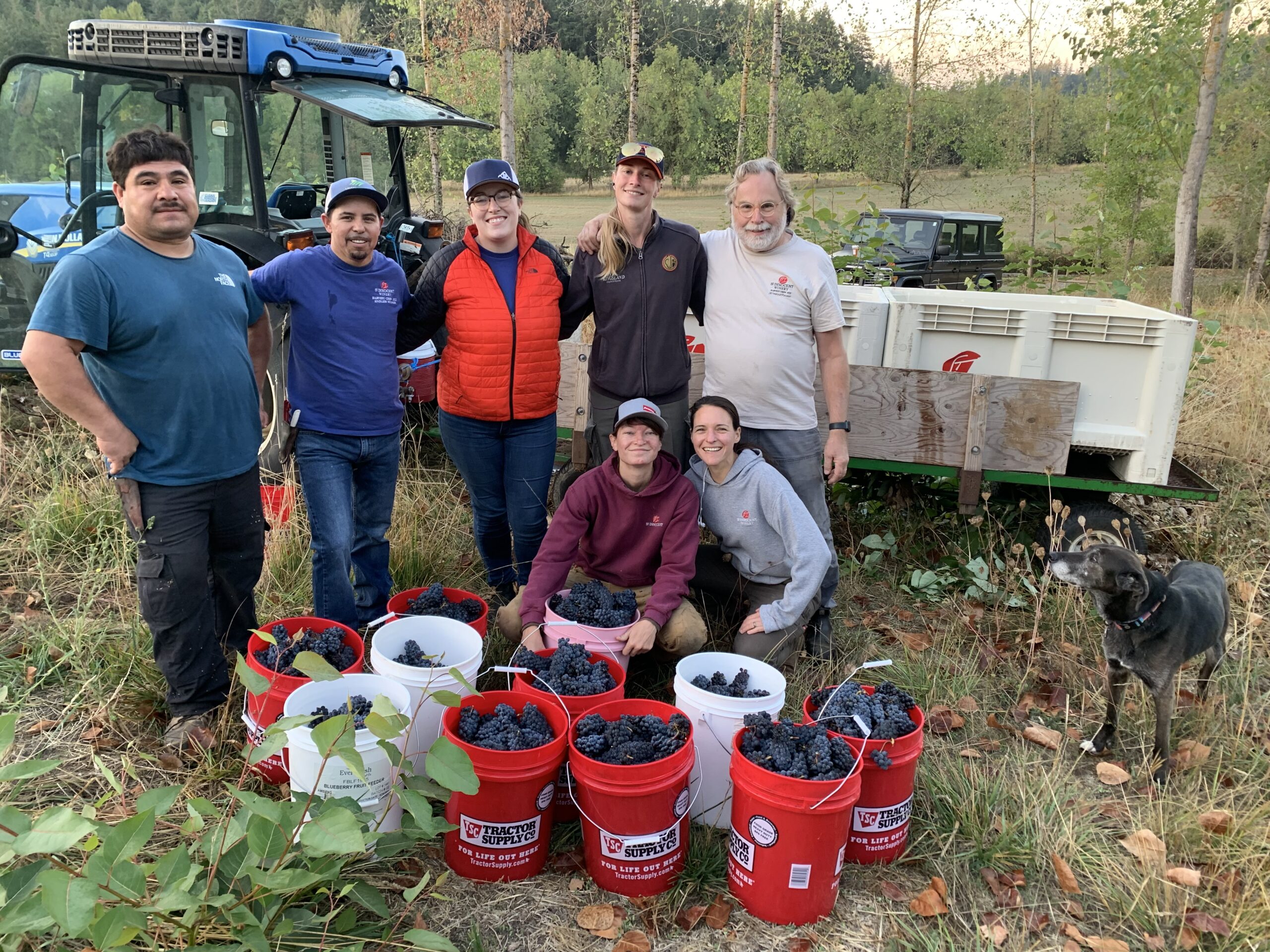 Harvest Crew at Enchanted Way Vineyard 2023